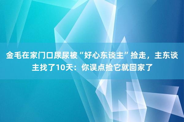 金毛在家门口尿尿被“好心东谈主”捡走，主东谈主找了10天：你误点捡它就回家了