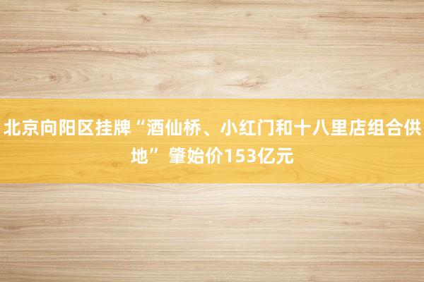 北京向阳区挂牌“酒仙桥、小红门和十八里店组合供地” 肇始价153亿元