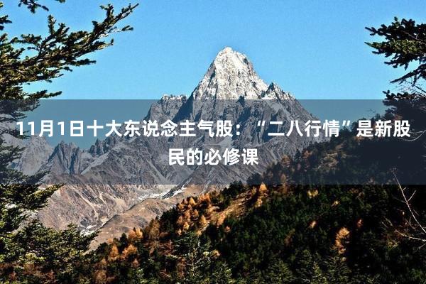 11月1日十大东说念主气股：“二八行情”是新股民的必修课